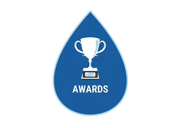 Suplier Diversity Award Icon